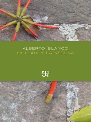 La hora y la neblina - ebook